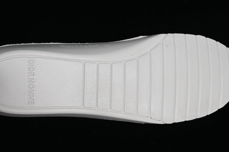 DiorUnisex B23 High Oblique - White