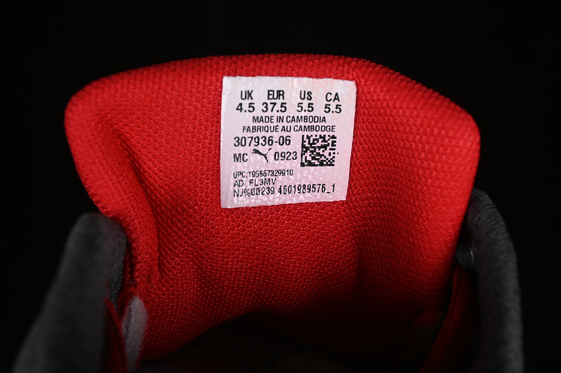 PumaUnisex x SPARCO Future Cat - Red