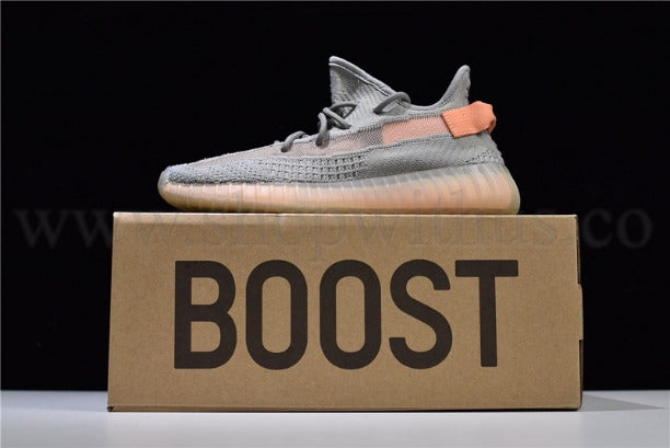 YEEZY Boost 350 V2 - True Form